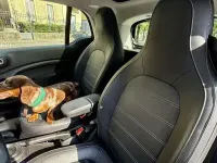 Usata Smart ForTwo Coupé Prime 41 kW (56 CV) 2023 Nero Utilitaria