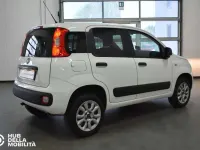 Usata Fiat Panda 4x4 Pop 84 CV (61 kW) 2019 Bianco Utilitaria