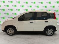 usata Fiat Panda 1.0 FireFly S&S Hybrid