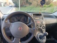 Usata Fiat Panda 2008 Grigio Utilitaria