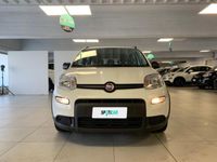 usata Fiat Panda 1.0 FireFly 70cv S&S Hybrid City Life