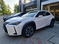 usata Lexus UX Hybrid 4WD Luxury