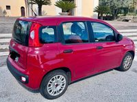 Usata Fiat Panda 69 CV (50 kW) 2017 Rosso Utilitaria