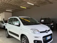 Usata Fiat Panda Lounge 80 CV (58 kW) 2021 Bianco Utilitaria