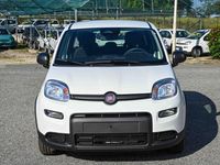 Nuova Fiat Panda Icon 69 CV (50 kW) 2025 Bianco Utilitaria