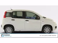 Nuova Fiat Panda S 69 CV (50 kW) 2026 Bianco gelato pastello Utilitaria