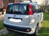 Usata Fiat Panda 69 CV (50 kW) 2013 Bianco Utilitaria