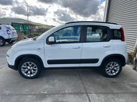 Usata Fiat Panda 4x4 S 95 CV (69 kW) 2017 Bianco Utilitaria