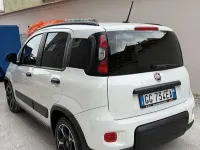 Usata Fiat Panda Pop 69 CV (50 kW) 2021 Utilitaria