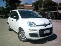 Usata Fiat Panda Easy 69 CV (50 kW) 2020 Bianco Utilitaria