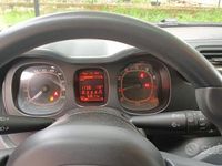 Usata Fiat Panda 69 CV (50 kW) 2017 Grigio Utilitaria