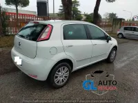 Usata Fiat Punto 77 CV (56 kW) 2015 Bianco Utilitaria