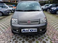 Usata Fiat Panda 4x4 Climbing 74 CV (54 kW) 2012 Grigio Utilitaria
