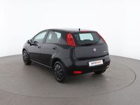 usata Fiat Punto 1.2 8V 5 porte Street