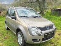 Usata Fiat Panda 4x4 Cross 70 CV (51 kW) 2007 Utilitaria