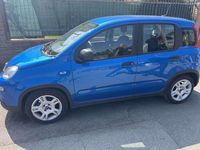 Usata Fiat Panda 69 CV (50 kW) 2024 Utilitaria