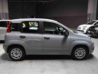 Usata Fiat Panda S 69 CV (50 kW) 2021 Grigio Utilitaria