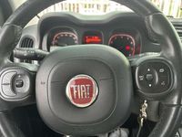 Usata Fiat Panda Lounge 69 CV (50 kW) 2020 Utilitaria