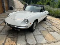 Usata Alfa Romeo Spider 1960 Bianco