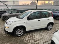Usata Fiat Panda S 69 CV (50 kW) 2023 Bianco Utilitaria