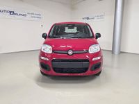 Nouvelle Fiat Panda S 69 ch (50 kW) 2025 Blanc Berline