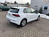 Usata VW Golf VIII Life 131 CV (96 kW) 2020 Bianco Berlina