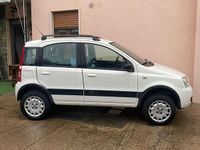 Usata Fiat Panda 4x4 60 CV (44 kW) 2009 Bianco Utilitaria