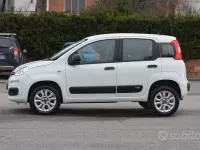 Usata Fiat Panda Easy 84 CV (61 kW) 2019 Bianco Utilitaria