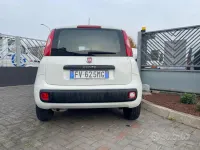 Usata Fiat Panda Easy 69 CV (50 kW) 2021 Bianco Utilitaria