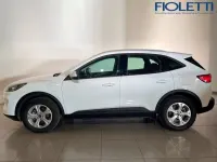 Usata Ford Kuga Business Edition 225 CV (165 kW) 2021 Bianco SUV