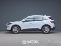 Usata Ford Kuga Business Edition 120 CV (88 kW) 2022 Frozen white SUV