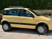 Usata Fiat Panda 4x4 Climbing 60 CV (44 kW) 2009 Giallo Utilitaria
