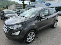 Usata Ford Ecosport 95 CV (69 kW) 2021 Gray SUV