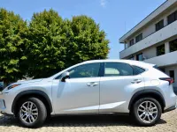 Usata Lexus NX300h Business Edition 197 CV (144 kW) 2019 SUV