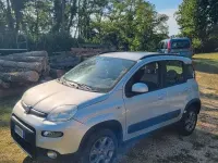 Usata Fiat Panda 4x4 75 CV (55 kW) 2013 Grigio Utilitaria