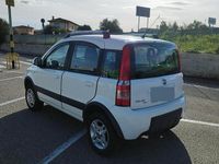Usata Fiat Panda 4x4 2011 Utilitaria