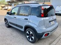 usata Fiat Panda Cross Panda 1.0 firefly hybrid City s