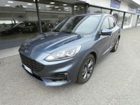 Usata Ford Kuga ST-Line 120 CV (88 kW) 2024 Blu SUV