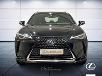 Usata Lexus UX Business Edition 184 CV (135 kW) 2019 Nero SUV