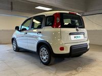 Usata Fiat Panda S 70 CV (51 kW) 2024 Bianco Utilitaria