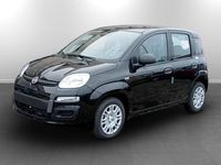 Nuova Fiat Panda Icon 70 CV (51 kW) 2025 Nero Utilitaria