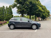 Usata Fiat Punto Lounge 69 CV (50 kW) 2013 Grigio Berlina