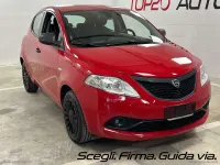 Usata Lancia Ypsilon 69 CV (50 kW) 2018 Rosso Utilitaria