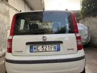 Usata Fiat Panda Dynamic 60 CV (44 kW) 2010 Bianco Utilitaria
