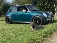 Usata Mini Cooper 75 CV (55 kW) 2004 Bluazzurro Utilitaria