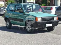 Usata Fiat Panda 4x4 Trekking 54 CV (39 kW) 2003 Verde Utilitaria