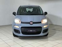 Usata Fiat Panda 69 CV (50 kW) 2022 Grigio Utilitaria
