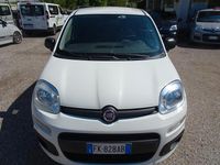Usata Fiat Panda 4x4 Pop 80 CV (58 kW) 2017 Bianco Utilitaria