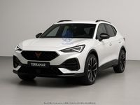 Usata Cupra Terramar VZ1 272 CV (200 kW) 2025 Bianco SUV