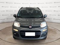 Usata Fiat Panda Lounge 69 CV (50 kW) 2020 Grigio Utilitaria